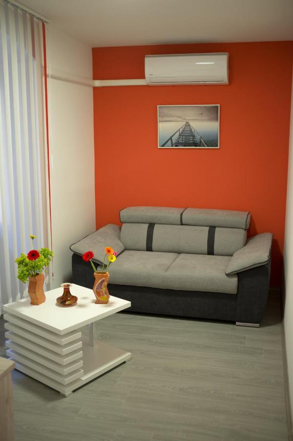 Studio Apartment "Dusica" Rijeka Extérieur photo